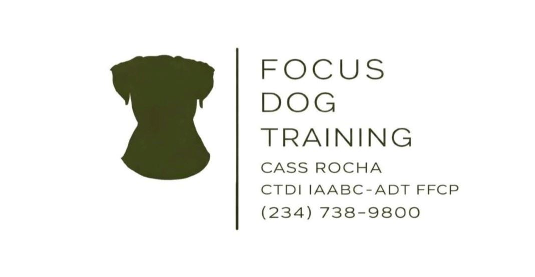 Focus Dog Training