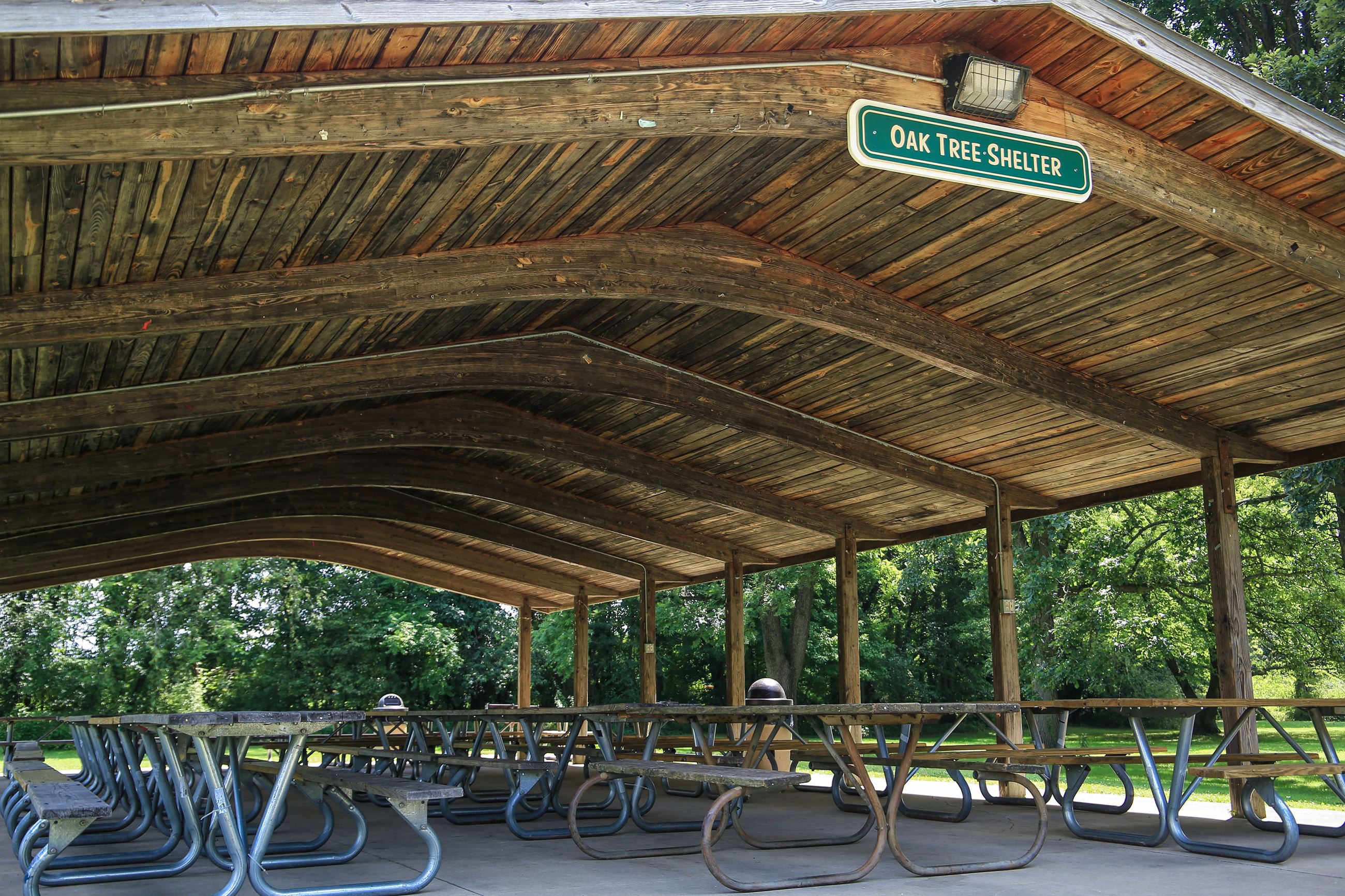 SilverSprings-16