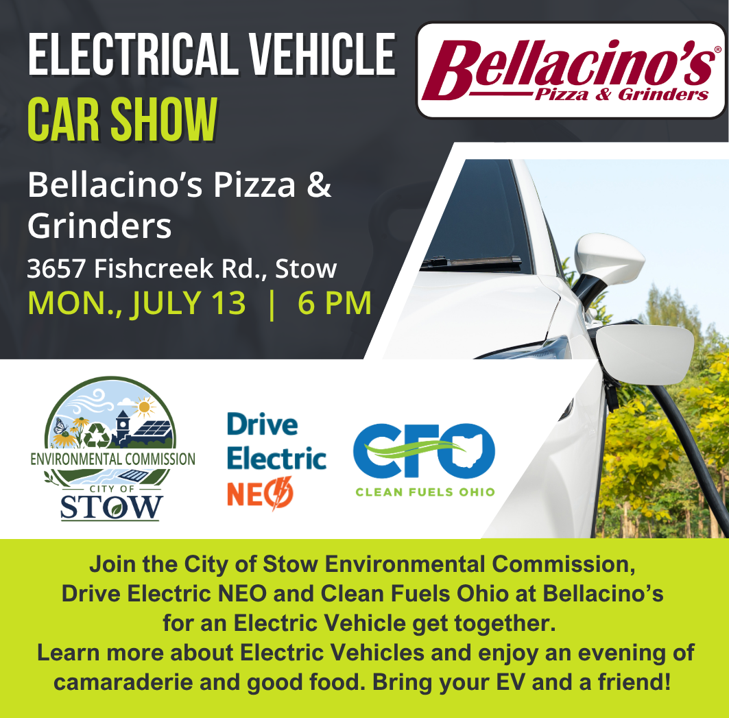 Electric Vehicle CAR Show (1)
